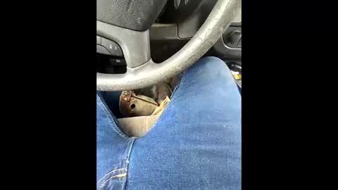 Snapshot of bombinshaman chatting on February 4, 2026, 5:19 pm bombinshaman online show from February 4, 2026, 5:19 pm