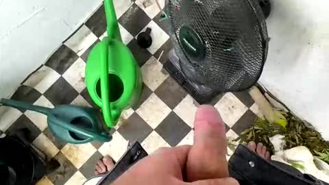 Snapshot of bonershot chatting on March 23, 2026, 5:39 pm bonershot online show from March 23, 2026, 5:39 pm