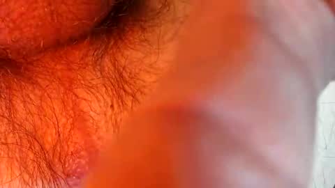 bonnie312 online show from September 18, 2025, 4:09 pm