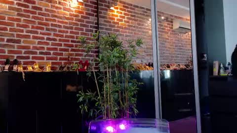 boobzilla_ online show from May 27, 2026, 5:04 am