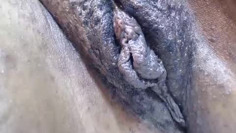 bootybounce4 online show from December 9, 2024, 12:34 am