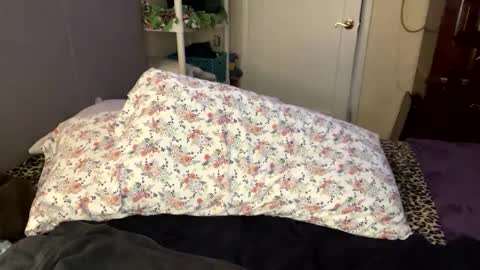 Snapshot of bossmomma chatting on February 21, 2025, 5:42 pm BossMom online show from February 21, 2025, 5:42 pm