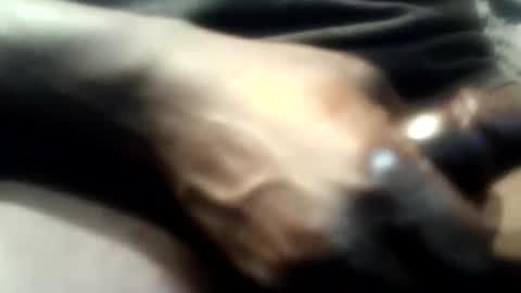 Snapshot of botofogo chatting on December 1, 2025, 5:12 am botofogo online show from December 1, 2025, 5:12 am