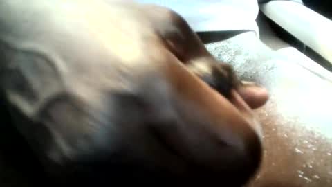 Snapshot of botofogo chatting on January 19, 2026, 8:07 am botofogo online show from January 19, 2026, 8:07 am