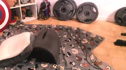 Snapshot of bouncinbooty chatting on April 11, 2026, 7:51 pm Pumpkin Butt online show from April 11, 2026, 7:51 pm