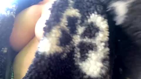 Snapshot of bow2us chatting on December 2, 2024, 6:54 pm Come for the looks stay for the vibe online show from December 2, 2024, 6:54 pm