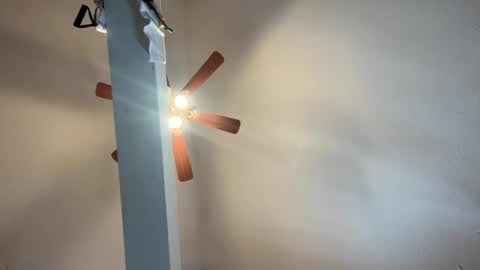 boysetsfire34 online show from January 21, 2025, 7:17 pm