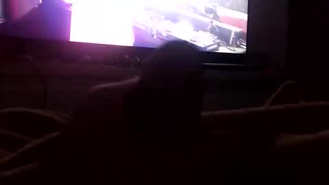 Boytop online show from October 12, 2025, 3:05 am