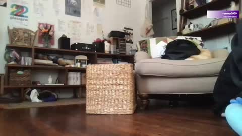 boywithbug online show from March 12, 2025, 6:44 pm