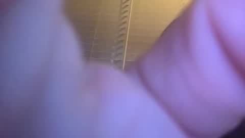 Snapshot of brad1115 chatting on November 18, 2025, 4:17 am Bradley online show from November 18, 2025, 4:17 am