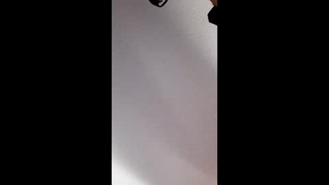 brandon281997 online show from April 17, 2026, 6:44 pm