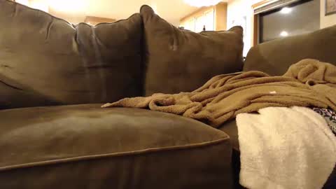 brandondot online show from February 3, 2025, 5:51 am