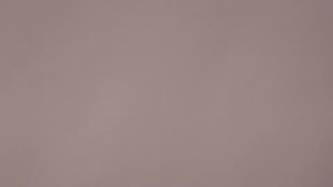 Brandy online show from January 17, 2026, 7:24 am