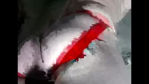 Anal-Prince online show from November 19, 2025, 6:02 am