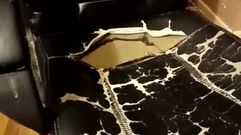 Snapshot of brian0169 chatting on December 14, 2025, 1:33 am BB online show from December 14, 2025, 1:33 am