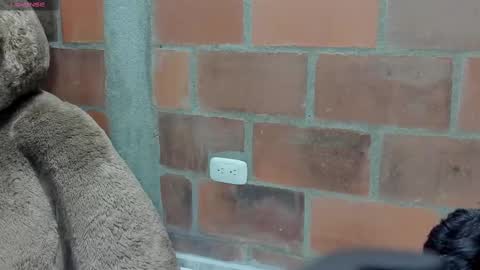 Snapshot of brilovers chatting on March 6, 2025, 2:41 am Briana69 online show from March 6, 2025, 2:41 am