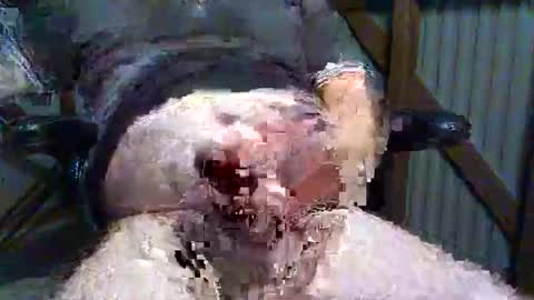 Snapshot of brissy8091 chatting on May 20, 2026, 7:58 am brissy8091 online show from May 20, 2026, 7:58 am