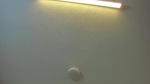 Snapshot of brittany069 chatting on February 8, 2026, 8:45 pm Brittany online show from February 8, 2026, 8:45 pm