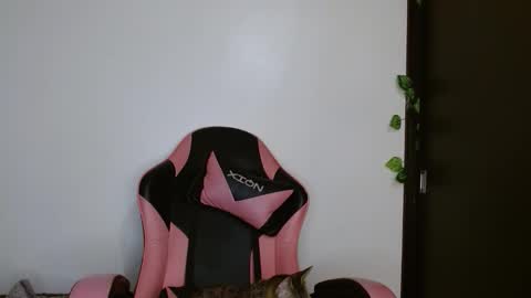 Snapshot of brittany_bubbles chatting on February 20, 2026, 4:20 am maru miaw Please help me to reach 100 thumbs up online show from February 20, 2026, 4:20 am