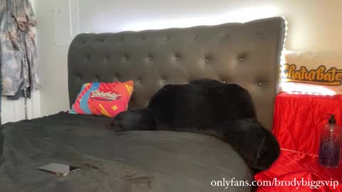 Snapshot of brodybiggs chatting on January 9, 2026, 8:21 pm Brody Biggs online show from January 9, 2026, 8:21 pm