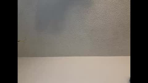 EtherealLilac online show from February 11, 2025, 9:56 pm