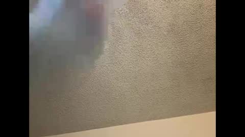 EtherealLilac online show from March 4, 2025, 12:07 am