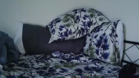 Snapshot of bruc12168 chatting on February 20, 2025, 12:04 pm Bruc12168 fit slim new makemecum bigdick edging online show from February 20, 2025, 12:04 pm