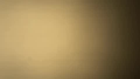 BRUCE online show from December 7, 2024, 1:25 am