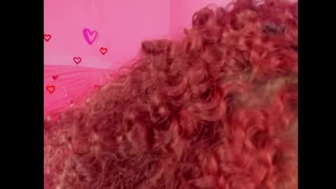 Lady  online show from February 15, 2025, 7:39 pm