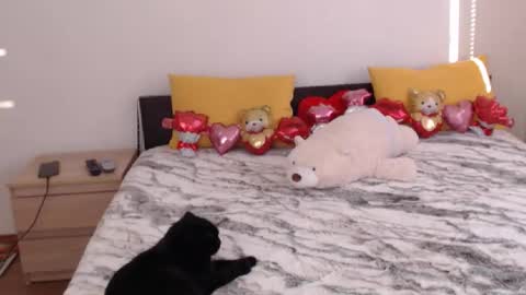 Ellis online show from February 3, 2026, 7:02 am