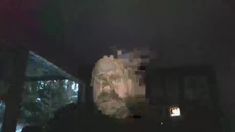 Snapshot of bulldog302w chatting on February 2, 2026, 10:41 pm bulldog302w online show from February 2, 2026, 10:41 pm