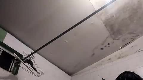 Snapshot of bunnychocolatte151671 chatting on November 30, 2025, 5:00 am bunnychocolatte69 online show from November 30, 2025, 5:00 am