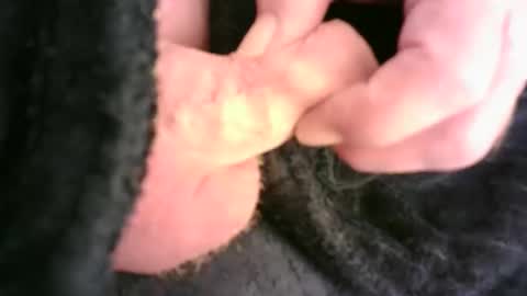 Snapshot of burnside13 chatting on November 23, 2025, 12:32 am Hamish online show from November 23, 2025, 12:32 am