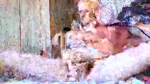 Snapshot of burnzart chatting on September 22, 2025, 8:33 pm burnzart online show from September 22, 2025, 8:33 pm