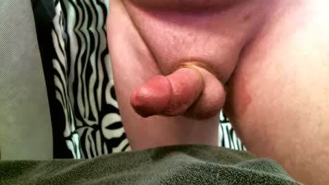 bustinfree online show from February 12, 2025, 3:16 pm