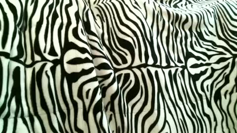 bustinfree online show from September 15, 2025, 3:34 pm