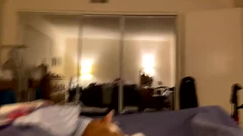 Snapshot of busty_2008 chatting on February 24, 2026, 3:04 am busty_2008 online show from February 24, 2026, 3:04 am