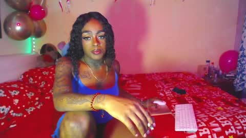 butterfly_rouse online show from November 14, 2025, 11:46 pm