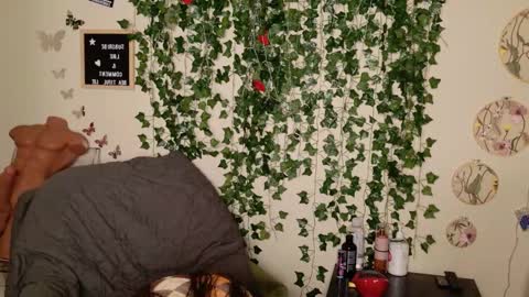 butterfly booty online show from November 3, 2025, 5:09 am