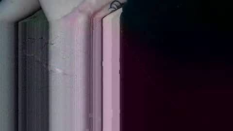 Snapshot of bwchou chatting on February 23, 2025, 6:12 pm BWCHOU online show from February 23, 2025, 6:12 pm