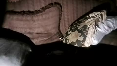 bxpapi69 online show from November 7, 2025, 6:46 am