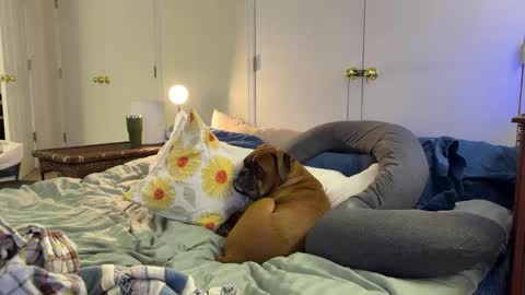 Snapshot of c2cmee chatting on March 9, 2026, 4:38 am c2cmee online show from March 9, 2026, 4:38 am