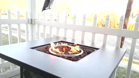 Snapshot of camaro383ci1994 chatting on December 25, 2024, 2:23 pm Chillaxin lets talk online show from December 25, 2024, 2:23 pm