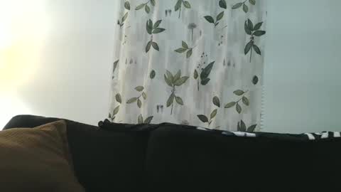 Snapshot of camaro383ci1994 chatting on January 21, 2025, 8:19 am Chillaxin lets talk online show from January 21, 2025, 8:19 am