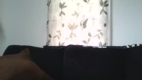 Snapshot of camaro383ci1994 chatting on January 21, 2025, 6:45 pm Chillaxin lets talk online show from January 21, 2025, 6:45 pm