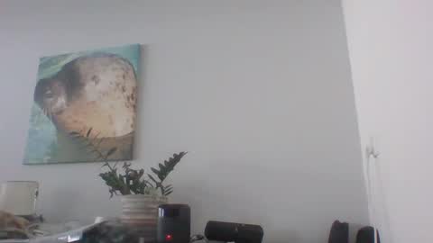 Dave online show from December 12, 2024, 12:44 pm