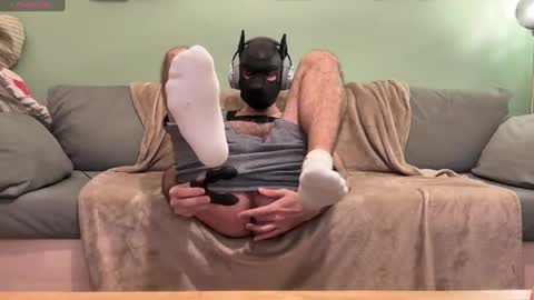 Snapshot of camdogfr chatting on December 7, 2024, 2:35 pm camdogfr online show from December 7, 2024, 2:35 pm