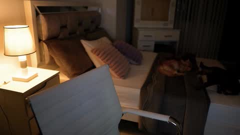 Camila buitrago online show from November 18, 2025, 11:37 pm