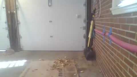 Snapshot of cammyman6900 chatting on November 13, 2025, 4:28 pm cammyman6900 online show from November 13, 2025, 4:28 pm