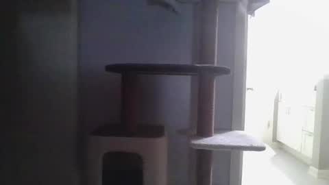 Snapshot of cammyman6900 chatting on November 21, 2025, 4:22 am cammyman6900 online show from November 21, 2025, 4:22 am